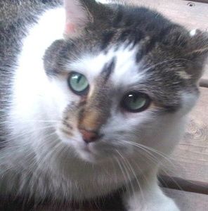 Meet your Posher, William